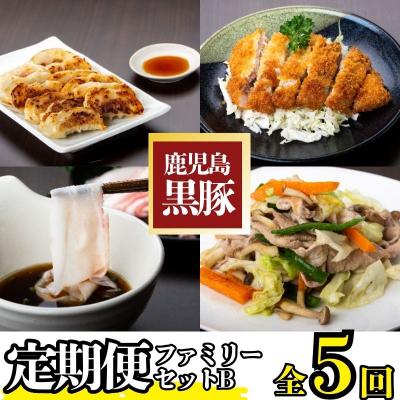 ふるさと納税 肝付町 &lt;定期便・全5回&gt;『かごしま黒豚ふるさと定期便』ファミリーセットB　D02004