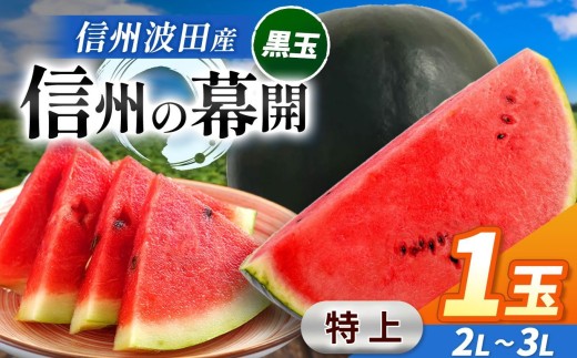 【先行受付：7月発送】信州波田産 贈答用 黒玉スイカ ！ 信州の幕開 【特上】 2L～３Lサイズ 1玉｜ふるさと納税 長野県 信州 松本 果物 フルーツ すいか スイカ 西瓜 贈答 季節限定 甘い くだもの ふるーつ