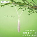 【ふるさと納税】植物モチーフ オリーブ葉ネックレス(中)/Chloroplast/クロロプラスト/ジュエリー ≪糸島市≫[ALF005] 49000円
