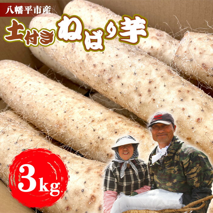 【ふるさと納税】 山芋 長芋 岩手県産 土付き ねばり芋 3kg 松浦農園 ／ ねばりいも 野菜 長いも ながいも 山いも やまいも やま芋 農家直送 産地直送 とろろ とろろご飯 ご飯のおとも ご飯のお供 旬 新鮮 期間限定 季節限定 八幡平市産 おすすめ 岩手県 八幡平市 送料無料
