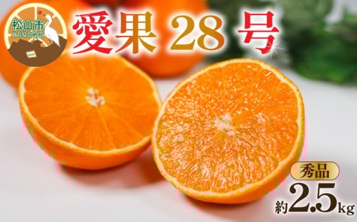【秀品】 愛果28号 約2.5kg 【12月上旬~1月中旬頃発送予定】 | あいか 愛果28号 紅まどんな と同品種 みかん 柑橘 アイカ 先行予約 ミカン かんきつ 果物 フルーツ おすすめ 蜜柑 送料無料 愛媛県 松山市