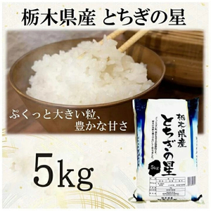 【令和7年産】栃木県産とちぎの星（精米）5kg×1袋 ｜ お米 白米 一等米 送料無料 栃木県 宇都宮市　※離島への配送不可