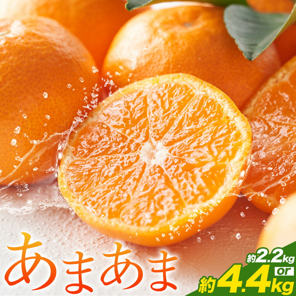 【ふるさと納税】雨よけ完熟みかん「あまあま」選べる内容量 約2.2kg 約4.4kg 廣畠農園《12月下旬-1月下旬》徳島県 佐那河内村 みかん ミカン 蜜柑 柑橘 箱入り 化粧箱 フルーツ 果物 くだもの 贈答【配送不可地域あり】※離島不可