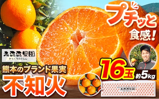 
										
										不知火 贈答用 熊本のブランド果実 不知火 16玉 約5kg 未来来農園 《4月上旬-4月下旬頃出荷》熊本県 葦北郡 津奈木町 デコポン でこぽん フルーツ 柑橘 しらぬい---st_mrsira_ab4_24_15500_16p---
									