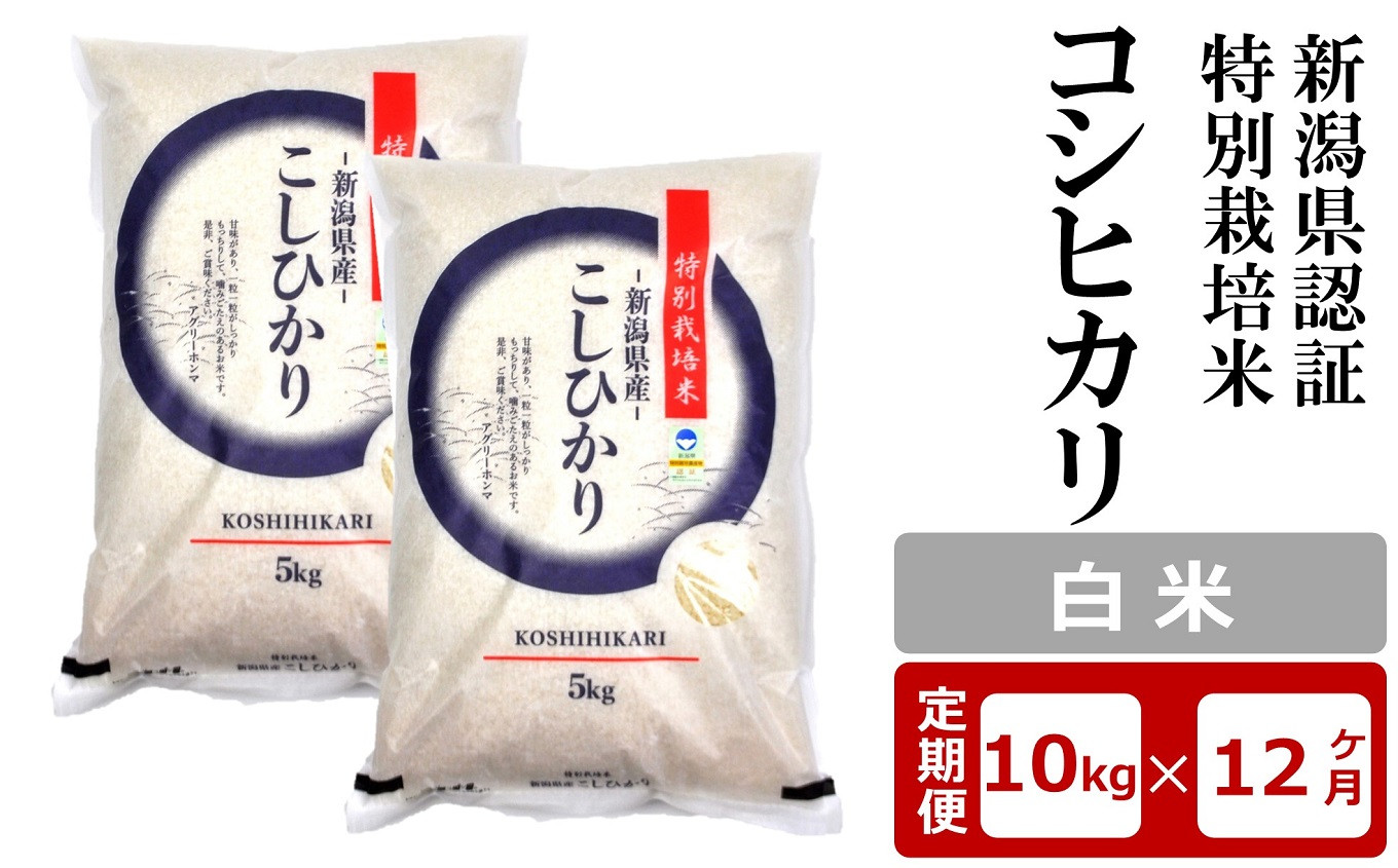 
            【12ヶ月定期便】新潟県認証特別栽培米 コシヒカリ 白米 10kg（5kg×2袋）×12回（計 120kg）アグリーホンマ[Y0372]
          