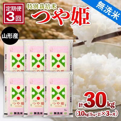 ふるさと納税 山形市 【定期便3回】山形産 特別栽培米【無洗米】つや姫 10kg(5kg×2)x3ヶ月 FY25-480