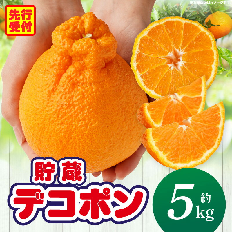 【ふるさと納税】三木町産デコポン　約5kg(12〜24玉) デコポン 甘い 酸味 柑橘 柑橘系 オレンジ 果物 フルーツ 青果 デザート おすすめ 取り寄せ 香川県 三木町