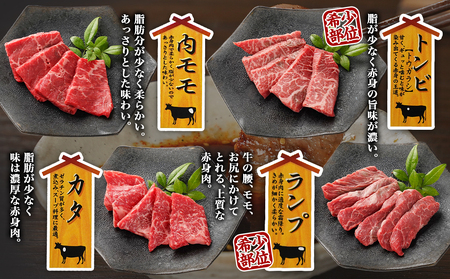 宮崎牛食べ比べ10種盛り焼肉セット(各600g×2P)≪みやこんじょ快速便≫_34-3103-R_(都城市) 都城産 宮崎牛 A4ランク 焼肉 セット 内モモ カタ トンビ ランプ ラムシン マルシン