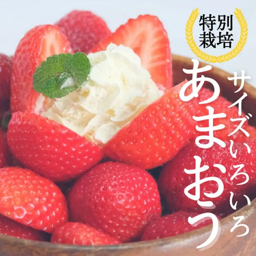 【先行予約受付中】【2026年12月以降順次発送】特別栽培あまおう4パック(サイズミックス)【うるう農園】_AS1968-00