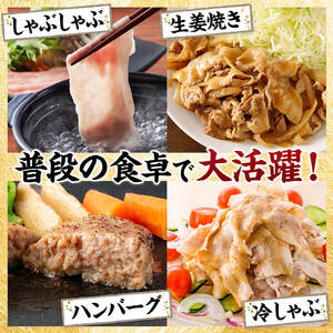 宮崎県産豚肉5種　3.2kg 【 豚肉 ぶた肉 肉 ロース バラ 切り落とし ミンチ 焼肉用 しゃぶしゃぶ 豚肉セット 】
