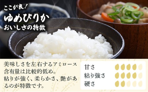 令和7年産 ＜定期便12回＞ 山下商店 ゆめぴりか 10kg | 北海道岩見沢産 ゆめぴりか 米 白米 お米 岩見沢市 [a164-018] 定期便12回