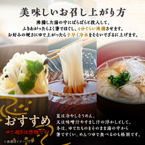 【5.0kg】半田屋の手延べそうめん　100g×50束　お裾分け・災害備蓄にもお勧め【1511552】
