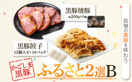 【B02104】ふるさと2選B 焼豚(約200g×4個・計800g)と餃子(12個入×10パック・計120個)のセット 鹿児島 国産 九州産 黒豚 豚肉 お肉 焼豚 餃子 冷凍 おかず ギフト 贈答 特別な日に【和田養豚】