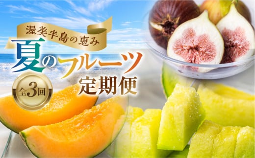 先行予約 2026年発送 渥美半島の恵み 夏のフルーツ 定期便 3回 ( タカミレッド / いちじく / マスクメロン) 果物 旬 めろん イチジク 夏 夏季 人気 愛知県 田原市 40000円 頒布会