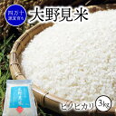 【ふるさと納税】 米 3kg ヒノヒカリ 白米 特別栽培 大野見米 新米 ご飯 ごはん お米 四万十 源流