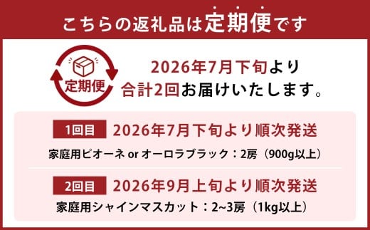 【2回定期便】 家庭用 ピオーネ or オーロラブラック 2房 （900g以上） ＆ 家庭用シャインマスカット 2～3房 （1kg以上） 【2026年7月下旬から順次発送予定】 ／ くだもの 果物 果