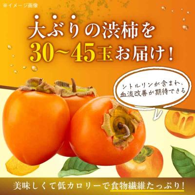 ふるさと納税 大洲市 【先行受付】【11月上旬より順次発送】手作干し柿に!あたご柿 M~2L 10kg[AGBN022] |  | 01