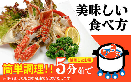 【数量限定】有明海の厳選ワタリガニ 特大サイズ 300g〜400g×3〜4匹 / かに ボイル カニ爪 渡り蟹 / 南島原市 / 長栄丸水産[SFM002]