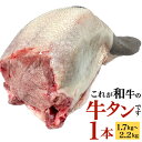 【ふるさと納税】〈冷蔵〉幻の牛タン これが和牛の牛タンです 1本 (1.7kg～2.2kg) 牛タン 牛肉 お肉 タン肉 まるごと 一本 和牛タン 和牛 新鮮 鮮度 タン ブロック 焼肉 バーベキュー BBQ 厚切り タン先 タン元 タン中 冷蔵 九州産 送料無料