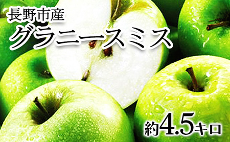 【2024年10月順次発送 先行予約】長野市産　グラニースミス　約4.5キロ