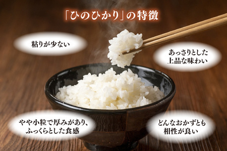 【令和7年産】ごはんソムリエが厳選 白米 ひのひかり 10kg(H063156)