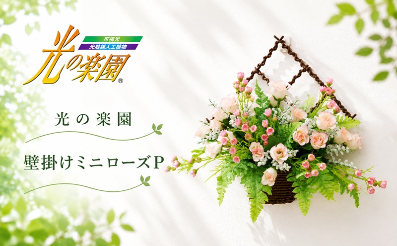 光の楽園 壁掛けミニローズP【配送不可：北海道・沖縄・離