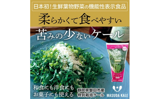 
＜毎月定期便＞やわらかくて食べやすい苦みの少ないケール＜静岡県磐田市産 特別栽培＞全3回【4003774】
