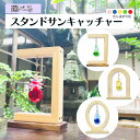 【ふるさと納税】選べる サンキャッチャー ひのき ヒノキ 檜 桧 ハンドメイド 手作り 木製品 木製 知育 おすすめ かわいい 木 国産 日本製 天然木 自然木 プレゼント ギフト 糸のこ 木育