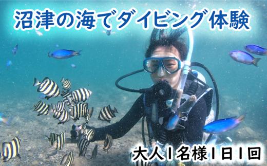 
ダイビング 体験 チケット 大人 1名 1回 沼津 伊豆半島
