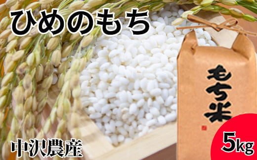 岩手県産 もち米 ひめのもち 5kg 1袋 ／ 餅米 もちごめ 農家直送 産地直送 【中沢農産】