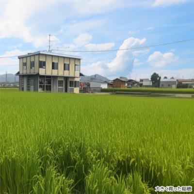 ふるさと納税 南あわじ市 淡路島産【新米】にこまる 5kg〈精米〉 |  | 01