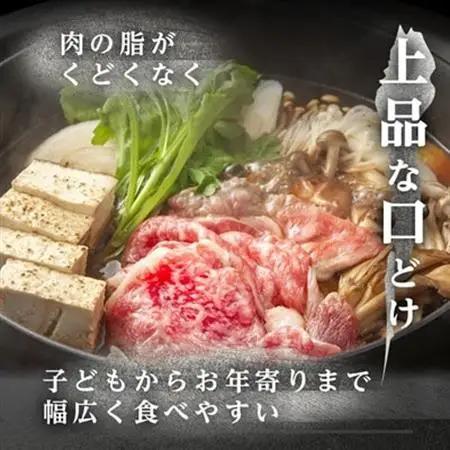 飛騨牛【白銀ロース】すき焼き・しゃぶしゃぶ用500g【配送不可地域：離島】【1681890】