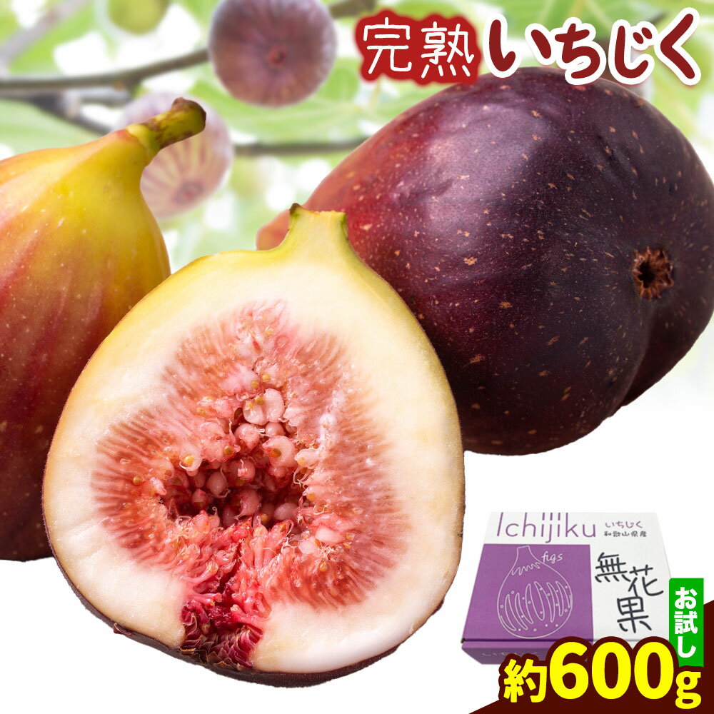 【ふるさと納税】【先行予約】お試し小容量 完熟いちじく 約600g (300g×2パック) パック いちじく イチジク 無花果 JAわかやま 紀の里地域本部《2025年9上旬-11中旬頃出荷》 和歌山県 岩出市 青果物 果物 くだもの フルーツ スイーツ