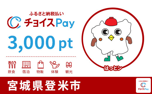 
            登米市チョイスPay 3,000pt【会員限定のお礼の品】
          