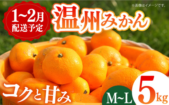 
            ＜1～2月配送＞普通温州みかん 5kg 長崎県/長崎果匠 [42AABK005] 長崎県産 温州みかん ミカン フルーツ 果物 果実 
          