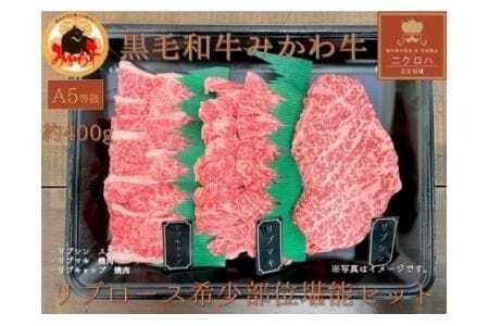 みかわ牛A5 リブロース希少 450g 牛肉