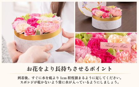 【季節限定商品】【先行予約】フラワーケーキＳ Mothers day Flower Gift 花ギフト 生花 ＜想いを届ける母の日ギフト＞※2026年5月6日～9日の間にお届け / 母の日 プレゼント