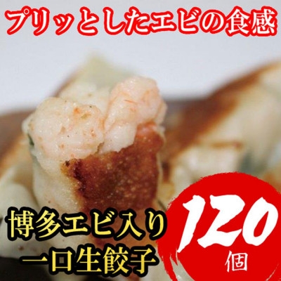 
                  ＜訳あり＞博多エビ入り一口生餃子 120個 小分けに便利な8パック 福岡老舗会社製造(福岡県)【1783800】
                