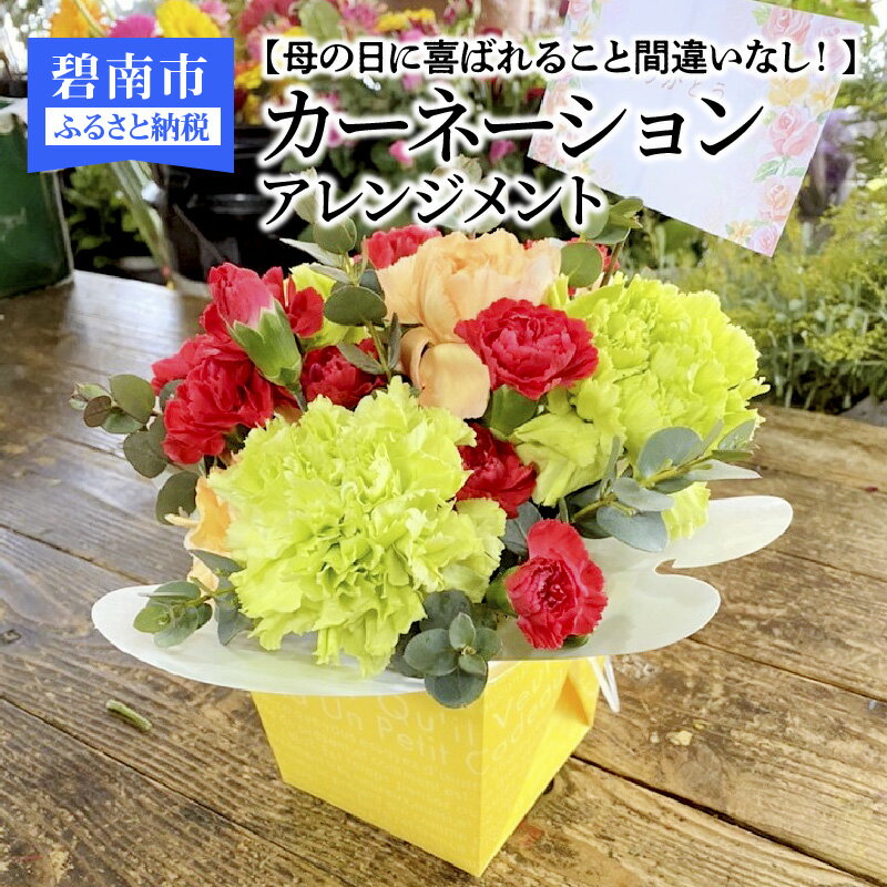 【ふるさと納税】母の日 カーネーション アレンジメント 花瓶不要 贈りやすい ギフト 生花 プレゼント 贈り物 手土産 送料無料
