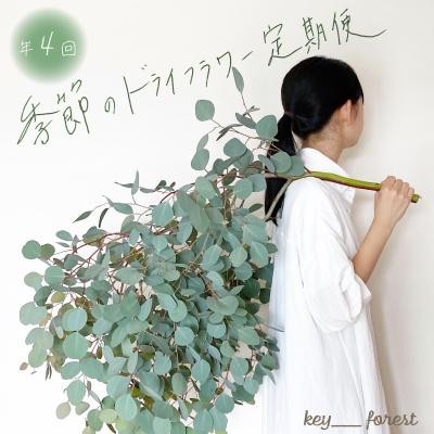 ふるさと納税 下関市 【定期便4回】 季節の草木花のブーケ スワッグ リース HO004
