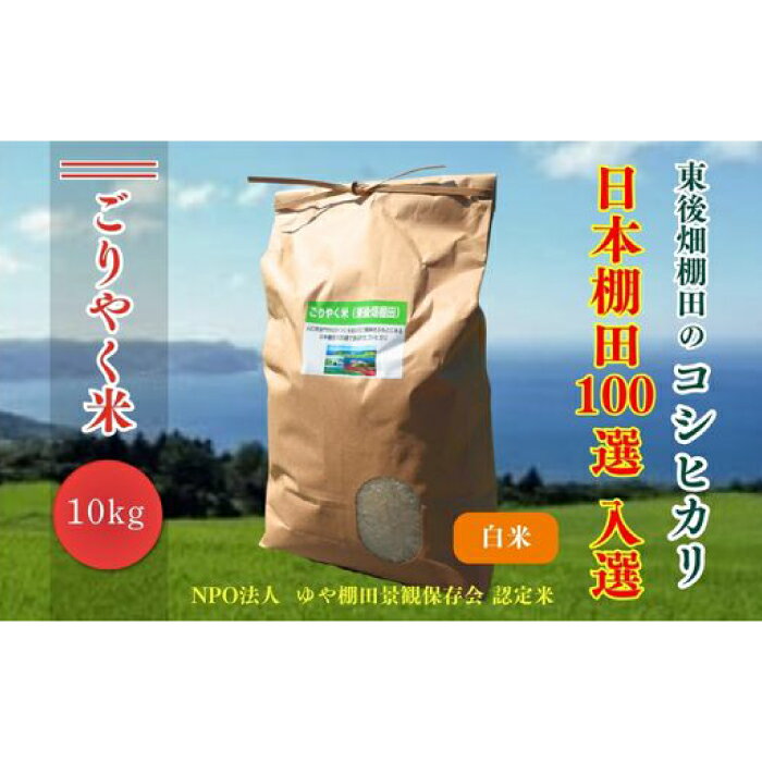 【ふるさと納税】令和7年度産 ごりやく米 東後畑棚田こしひかり 白米 玄米 無洗米 1ぶづき米 10kg 棚田米 長門市 コシヒカリ こしひかり [1232]
