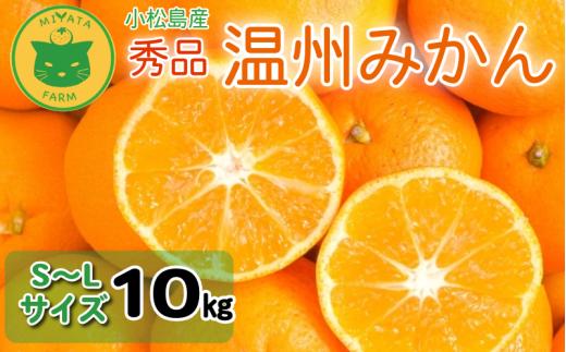 【2026年12月発送】 みかん 秀品 温州みかん 10kg  ミカン 蜜柑 甘い フルーツ 柑橘 ジュース 小松島市 10kg オススメ 人気 ふるさと納税
