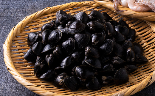 鰺ヶ沢の生干しイカ(210g～269g×2枚)と、十三湖産しじみ(250g×4袋)セット【配送不可地域：離島】