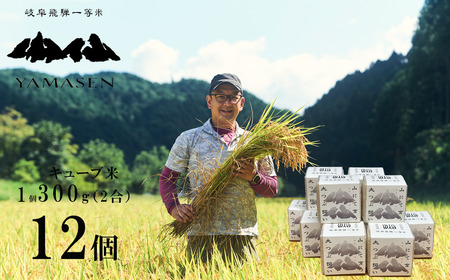 新米予約受付【令和7年産米】すがたらいす 山仙 (いのちの壱) キューブ米 12個 （1個 300g（2合））真空包装 プチギフト ギフト 小分け お裾分け 下呂市金山産 2025年産 お米 精米 米 いのちのいち やません ブランド米 有限会社 すがたらいす【51-24】