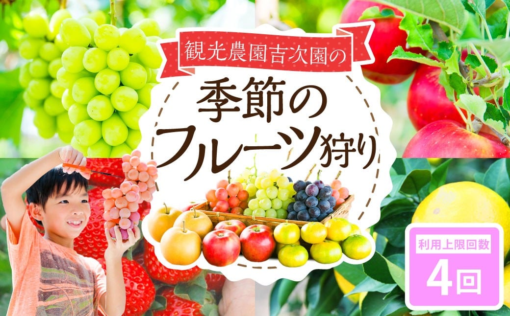 
            観光農園吉次園の「旬を味わうフルーツ狩りパスポート」（計4回） 果物狩り フルーツ 狩り 食べ比べ 食べ放題 季節 旬 家族 体験チケット チケット 体験 熊本県
          