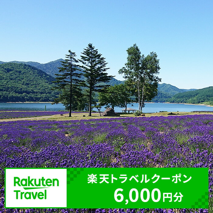 【ふるさと納税】北海道南富良野町の対象施設で使える 楽天トラベルクーポン 寄付額20,000円（クーポン 6,000円分） 北海道 宿泊 宿泊券 ホテル 旅館 旅行 旅行券 観光 トラベル チケット 旅 宿 券