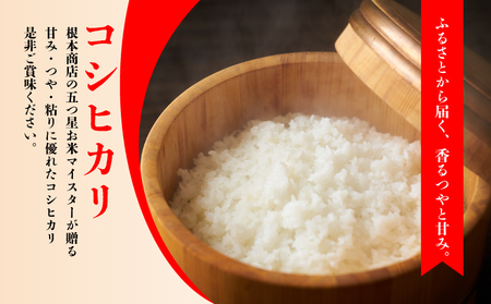 無洗米 千葉県産 コシヒカリ 2kg 米 根本商店