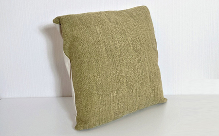 JCWフリークッションカバー　35x35cm　片面綿布タイプ　JFR-CV1235　アメリLM