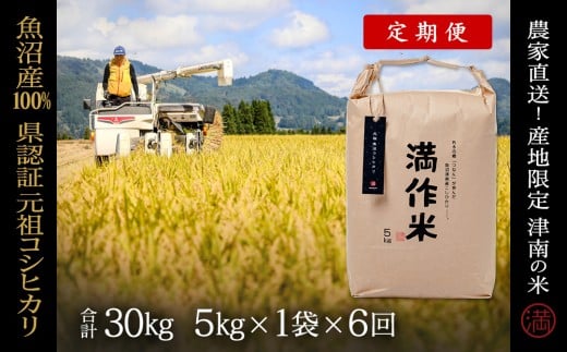 【 定期便 6ヶ月 】 米 5kg × 6回 令和7年産 新米 魚沼産 コシヒカリ 県認証米 満作米 | ブランド米 お米 おこめ こめ コメ 白米 精米 おすすめ 人気 新潟県 津南町