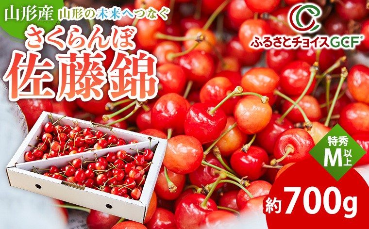 
                  【GCF】山形の未来へつなぐ さくらんぼ応援便 Ｍサイズ以上 特秀 700g【令和9年産先行予約】 FS26-021
                